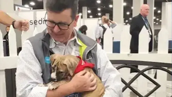 Effective Marketing Hooks